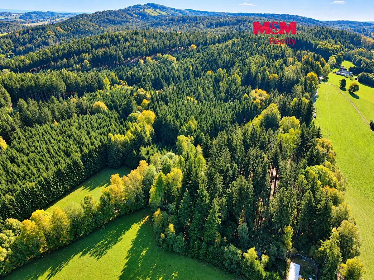 Prodej lesa 15881 m²